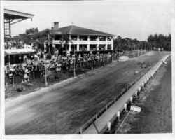 Dog racing at the world-famous Derby Lane (St. Petersburg Kennel Club). c. 1940.