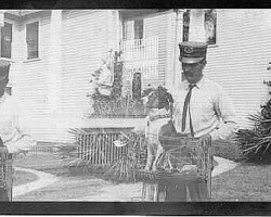 St. Petersburg mail man with his dog in his bicycle basket. Note on the back of the photograph says 'In front of Kranghurst [Hotel]', 419 3rd Ave. N. c. 1930