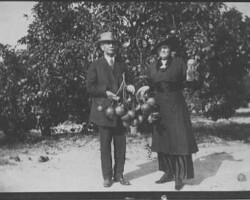 William and Mary Eaton at Eaton's Grove. Eaton's Grove was located west of 9th St., near 21st Ave. N. c. 1922